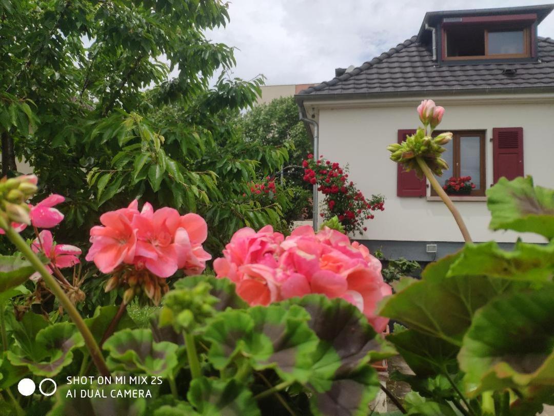 Colmar Room,Chambre Privee Chez L'Habitant,Parking Voiture Devant La Maison,Garage Moto Et Velo Εξωτερικό φωτογραφία